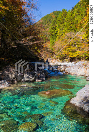 秋の長野県大桑村 紅葉の阿寺渓谷 秋の長野県大桑村 紅葉の阿寺渓谷 126696907