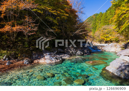 秋の長野県大桑村　紅葉の阿寺渓谷 126696909