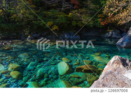 秋の長野県大桑村 紅葉の阿寺渓谷 秋の長野県大桑村 紅葉の阿寺渓谷 126697008