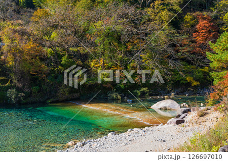 秋の長野県大桑村 紅葉の阿寺渓谷 秋の長野県大桑村 紅葉の阿寺渓谷 126697010