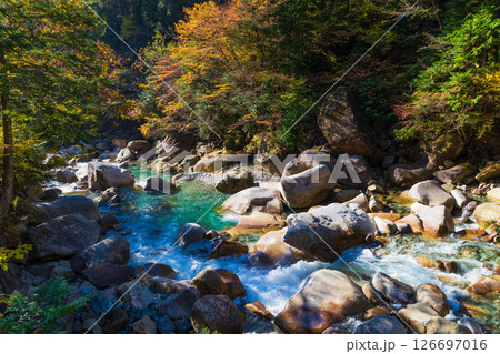 秋の長野県大桑村　紅葉の阿寺渓谷 126697016