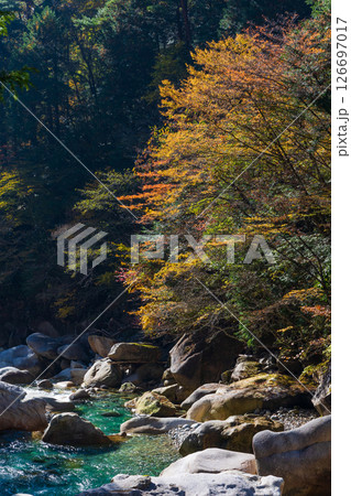 秋の長野県大桑村 紅葉の阿寺渓谷 秋の長野県大桑村 紅葉の阿寺渓谷 126697017