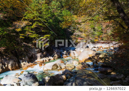 秋の長野県大桑村　紅葉の阿寺渓谷 126697022
