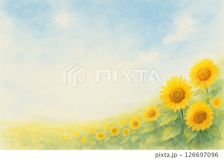ポストカード　ひまわり 126697096