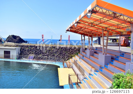 福井 福井県 越前松島水族館 福井 福井県 越前松島水族館 126697115