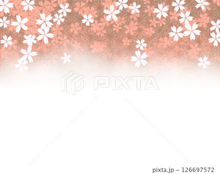 和柄入り桜の花背景、フレーム 126697572