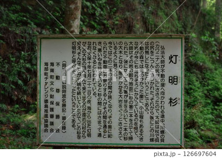 徳島県の浪切不動尊 126697604