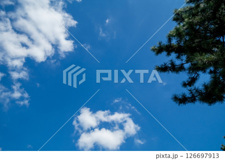 青空に浮かぶ雲 126697913