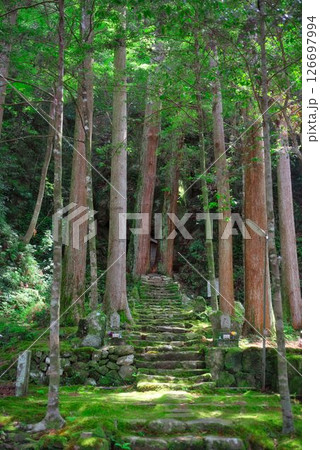 徳島県の浪切不動尊 126697994