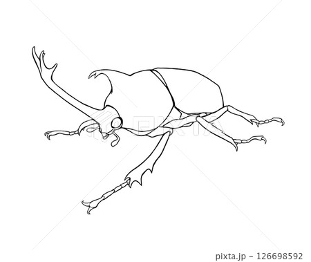 カブトムシのリアルな線画イラスト カブトムシのリアルな線画イラスト 126698592