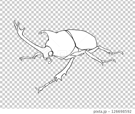 カブトムシのリアルな線画イラスト カブトムシのリアルな線画イラスト 126698592