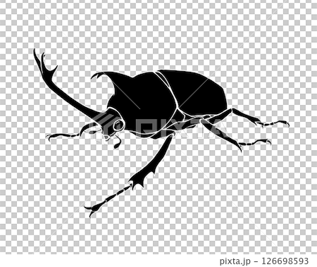 カブトムシのリアルな白黒イラスト（白フチあり） 126698593