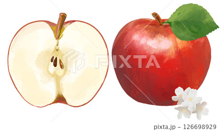 水彩で描いたりんご apple  126698929