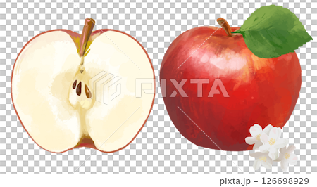 水彩で描いたりんご apple  126698929