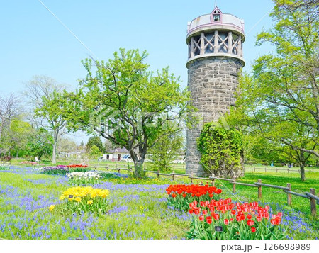 北海道の風景 百合が原公園チューリップ畑 北海道の風景 百合が原公園チューリップ畑 126698989