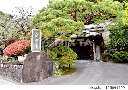 湯河原町　老舗温泉宿の藤田屋と紅葉 126699499