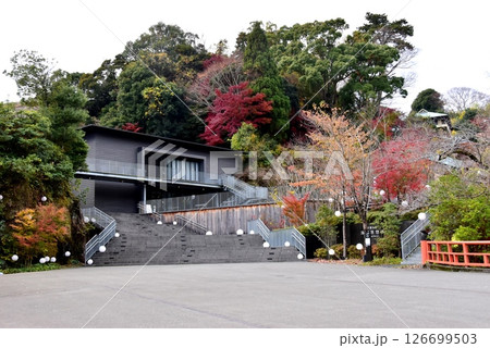 湯河原町　万葉公園湯河原惣湯玄関テラスと紅葉と千歳川落合橋 126699503