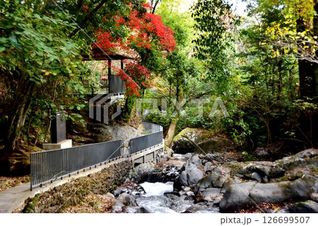 湯河原町 万葉公園湯河原惣湯川の道とテラスと紅葉と千歳川 湯河原町 万葉公園湯河原惣湯川の道とテラスと紅葉と千歳川 126699507