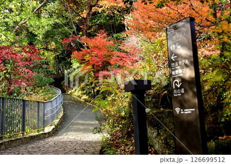 湯河原町　万葉公園湯河原惣湯の散策路と紅葉と道案内 126699512