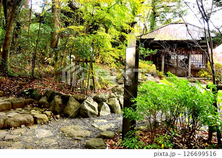 湯河原町　万葉公園湯河原惣湯周遊路の熊野神社付近散策路と道案内 126699516