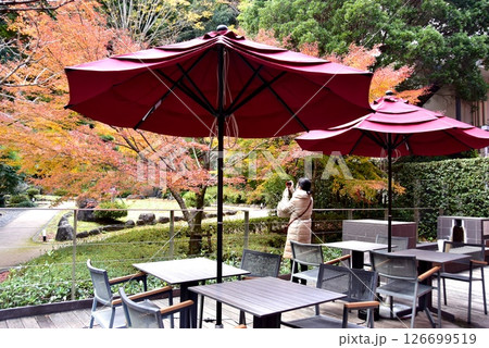 湯河原町　町立湯河原美術館のカフェテラスと足湯と庭園の紅葉 126699519