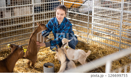 Female farmer feeding and playing with goatlings Female farmer feeding and playing with goatlings 126699755