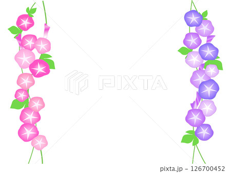 朝顔のフレームイラスト 126700452