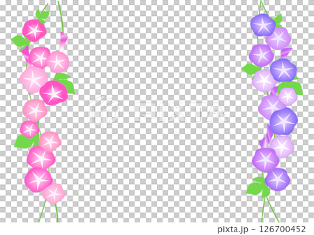 朝顔のフレームイラスト 126700452