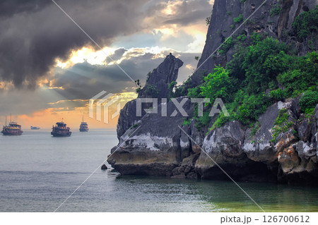 ハロン湾クルーズ 126700612