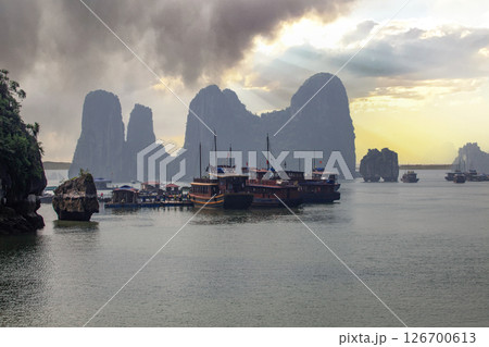 ハロン湾クルーズ ハロン湾クルーズ 126700613