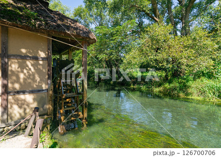 ＜安曇野＞大王わさび農場の水車と美しい小川の絶景 126700706