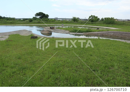 府中　多摩川親水公園 126700710