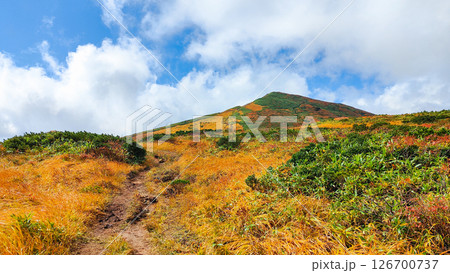 秋の栗駒山登山（産沼～東栗駒山：裏掛コース分岐付近から栗駒山の眺め） 126700737