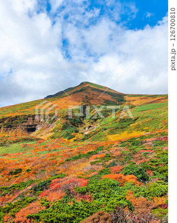 秋の栗駒山登山(東栗駒山から栗駒山の眺め) 秋の栗駒山登山(東栗駒山から栗駒山の眺め) 126700810