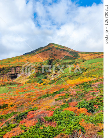 秋の栗駒山登山(東栗駒山から栗駒山の眺め) 秋の栗駒山登山(東栗駒山から栗駒山の眺め) 126700811