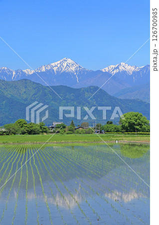 安曇野の5月　田園と北アルプス 126700985