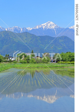 安曇野の5月 田園と北アルプス 安曇野の5月 田園と北アルプス 126700986