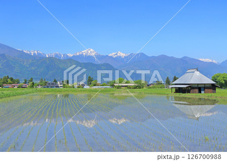 安曇野の5月　田園と北アルプス 126700988