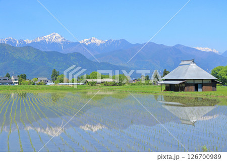 安曇野の5月　田園と北アルプス 126700989
