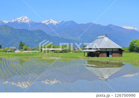 安曇野の5月　田園と北アルプス 126700990