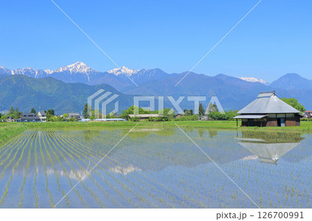 安曇野の5月　田園と北アルプス 126700991