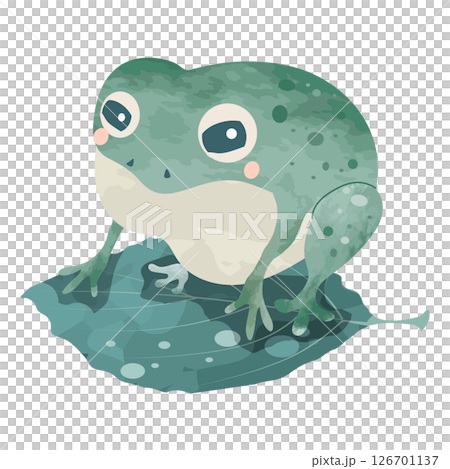 Illustration of a frog on a leaf Illustration of a frog on a leaf 126701137