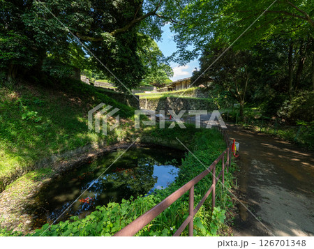 群馬県太田市金山城跡 群馬県太田市金山城跡 126701348