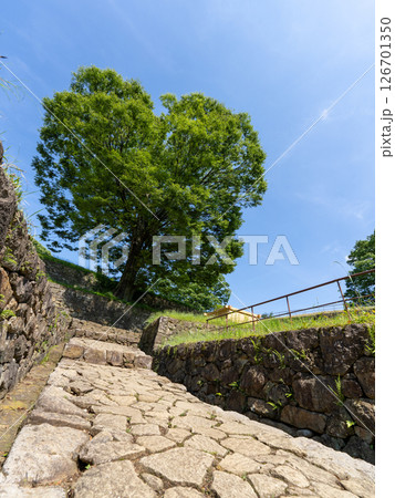 群馬県太田市金山城跡 126701350