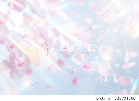 陽光と花びら 126701366