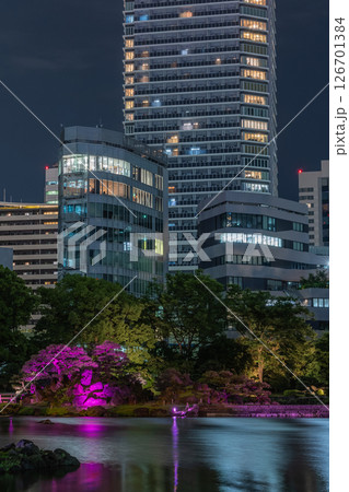 東京港区旧芝離宮公園の夜景 東京港区旧芝離宮公園の夜景 126701384