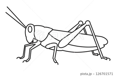 バッタのシンプルな線画イラスト バッタのシンプルな線画イラスト 126701571