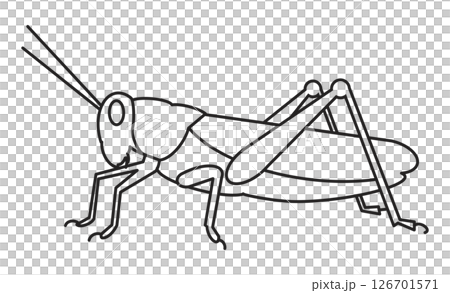バッタのシンプルな線画イラスト バッタのシンプルな線画イラスト 126701571