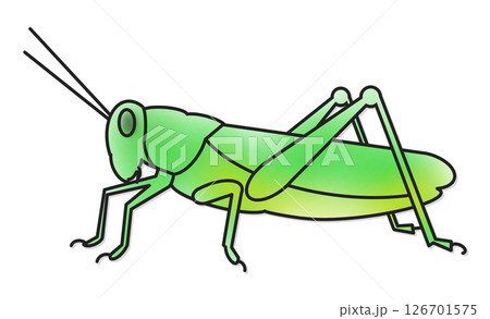 バッタのシンプルな線画イラスト バッタのシンプルな線画イラスト 126701575
