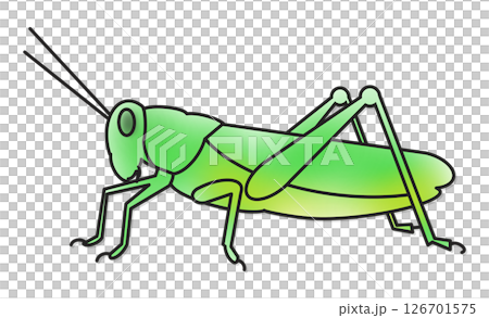 バッタのシンプルな線画イラスト バッタのシンプルな線画イラスト 126701575